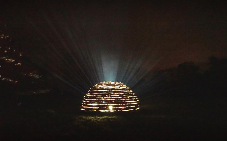 Richard Harris' Birch lit up at night