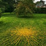 Out of Nature: Kate Raggett land art